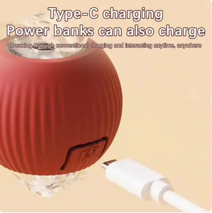 Interactive Rolling Ball Cat Toy with USB Charging Teasing Stick for All Breeds Bite Resistant anti Boredom Pet Supplies Safe Materials